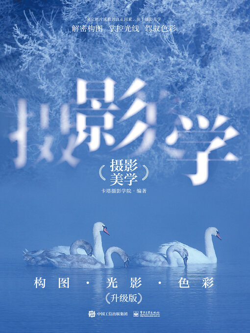 Cover image for 摄影美学